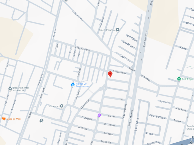 place photo 11