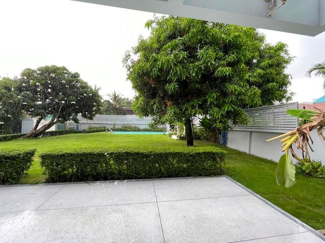place photo 45