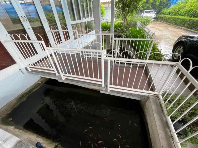 place photo 46