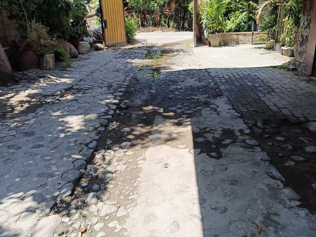 place photo 29