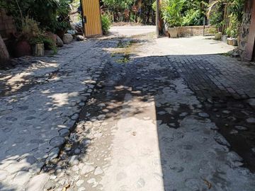 place photo 29