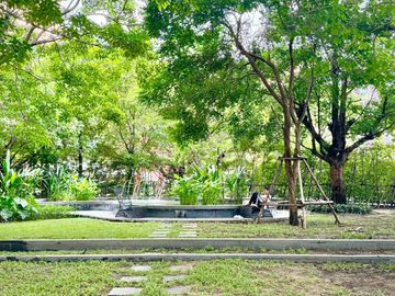 place photo 46