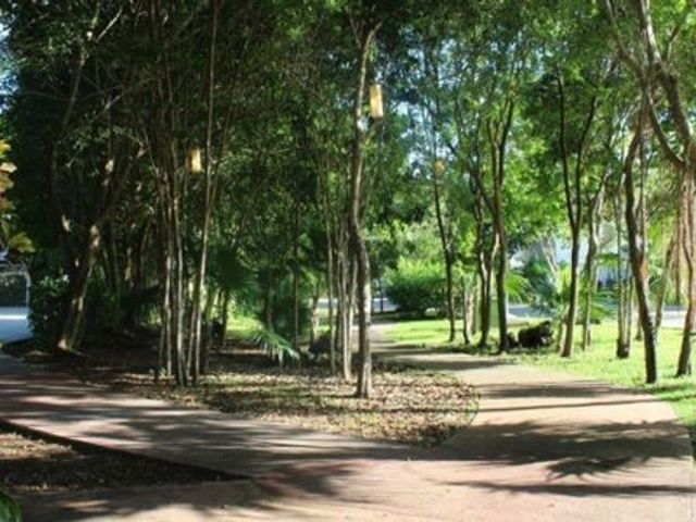 place photo 23