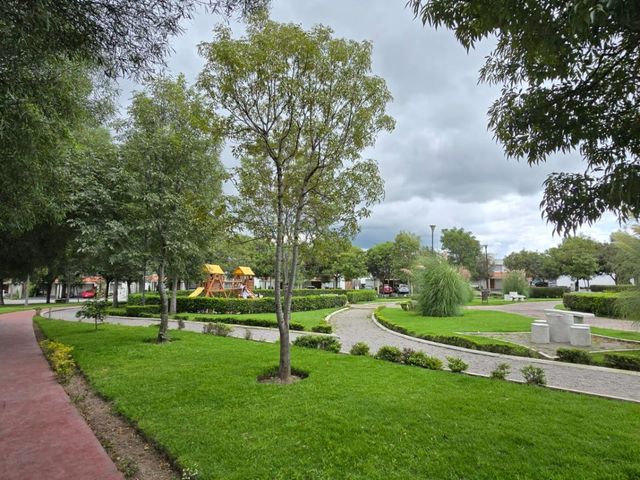 place photo 36
