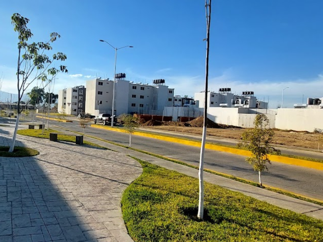 place photo 16