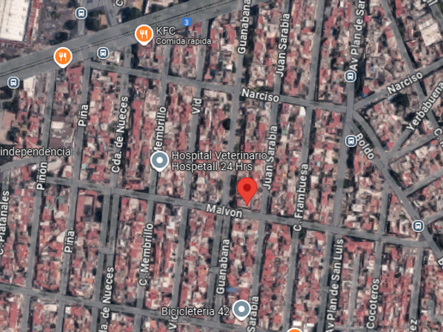 place photo 10