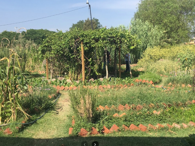 place photo 14