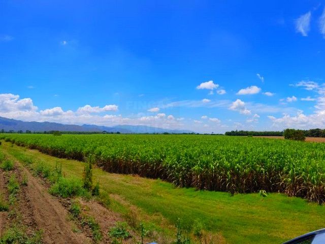SE VENDE FINCAS CAÑERAS ID 736