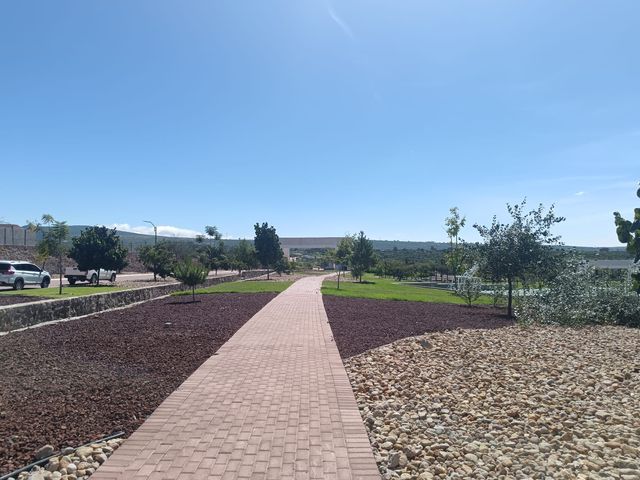place photo 14