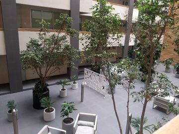 place photo 25