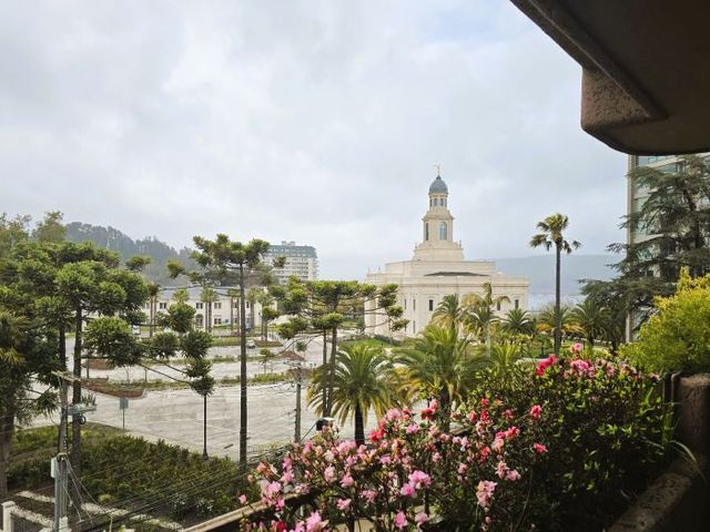 place photo 19