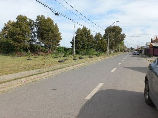 place photo 21