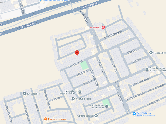 place photo 9