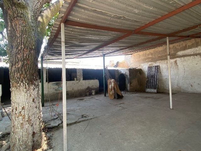 place photo 14