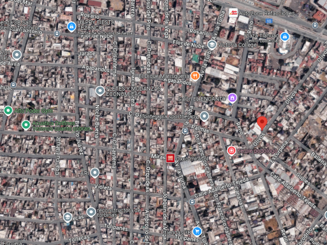 place photo 5