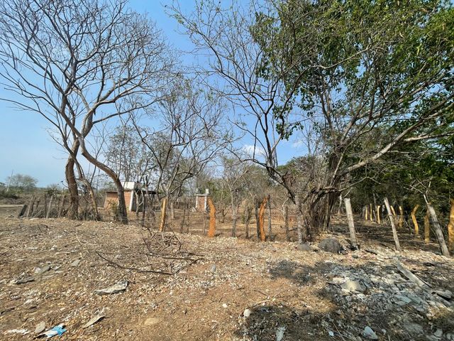 place photo 18