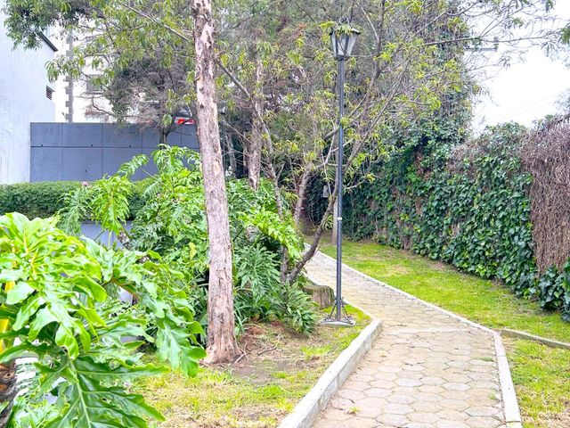 place photo 52