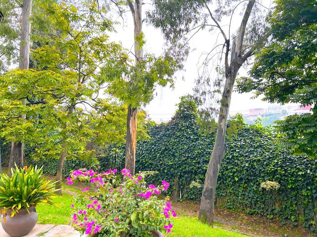 place photo 62