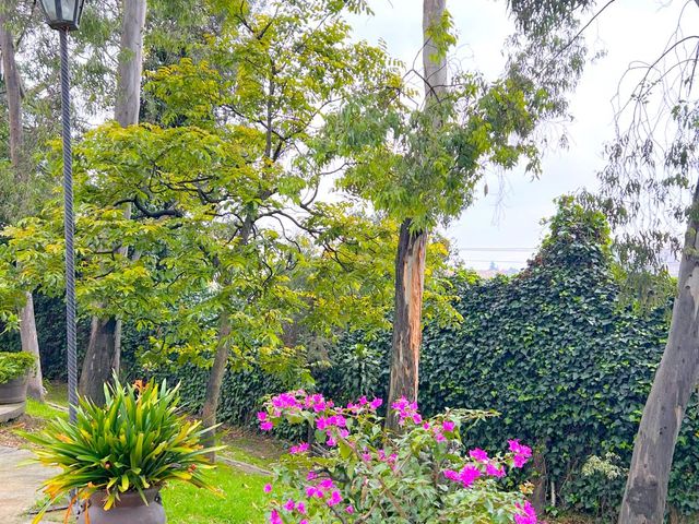 place photo 63