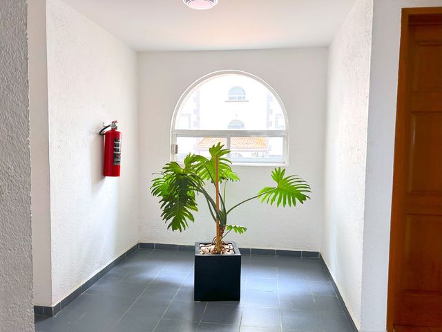 place photo 42