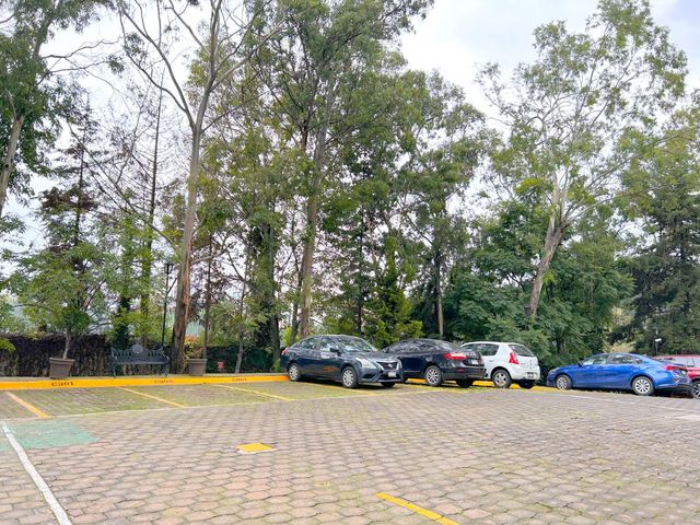 place photo 49