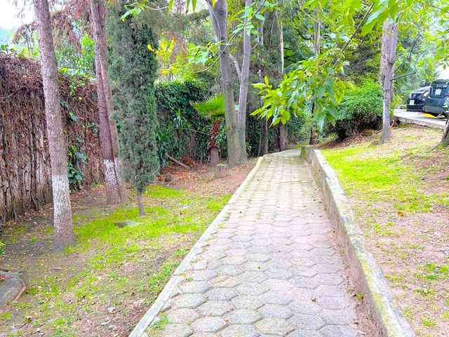 place photo 52