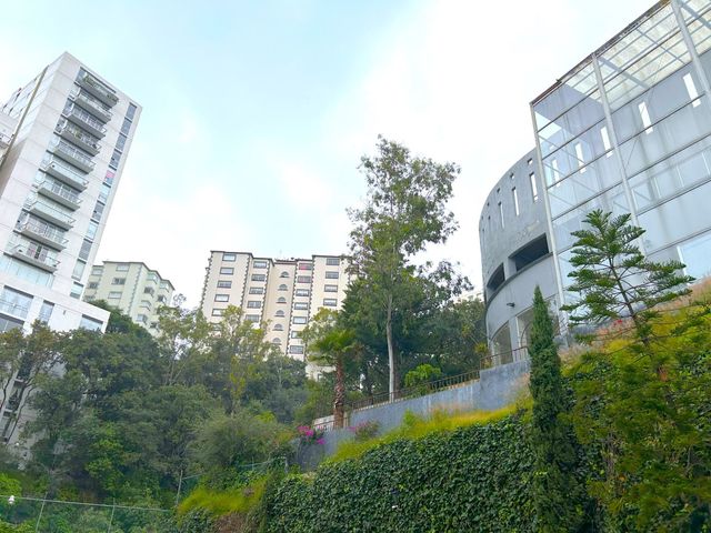 place photo 59