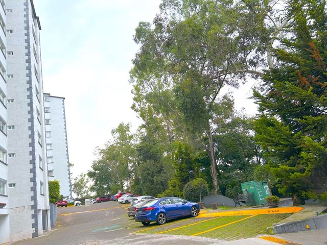 place photo 61