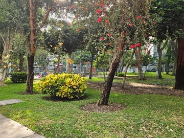 place photo 25