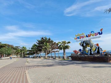 place photo 34