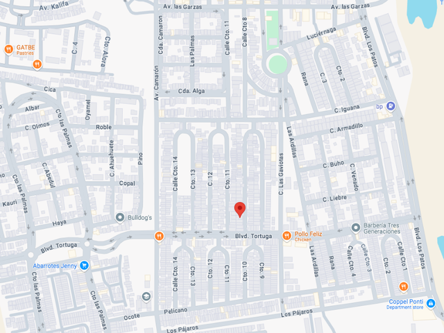 place photo 8