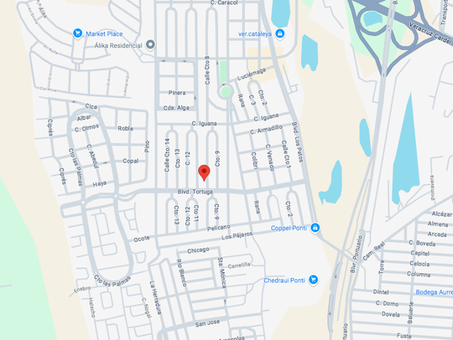 place photo 9