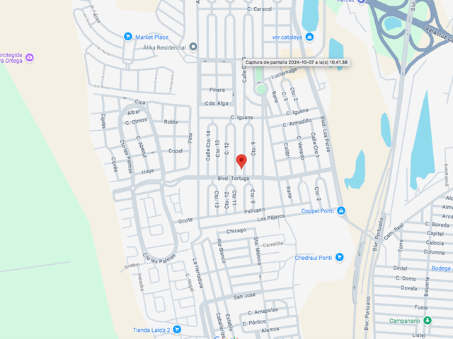 place photo 10