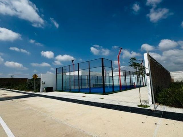 place photo 15
