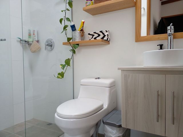 place photo 17
