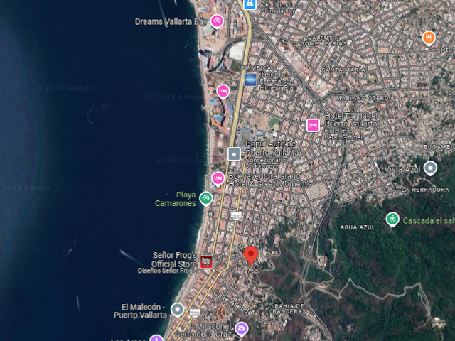 place photo 4