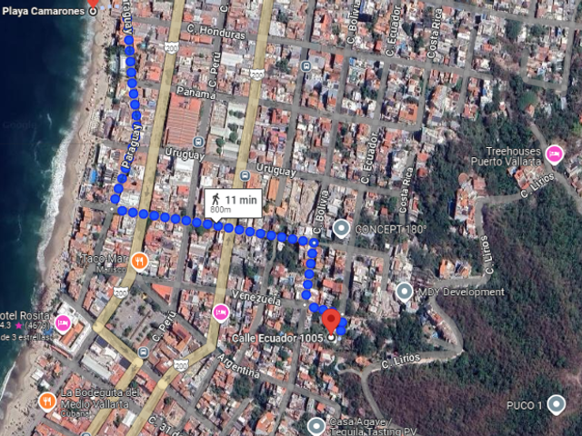 place photo 7