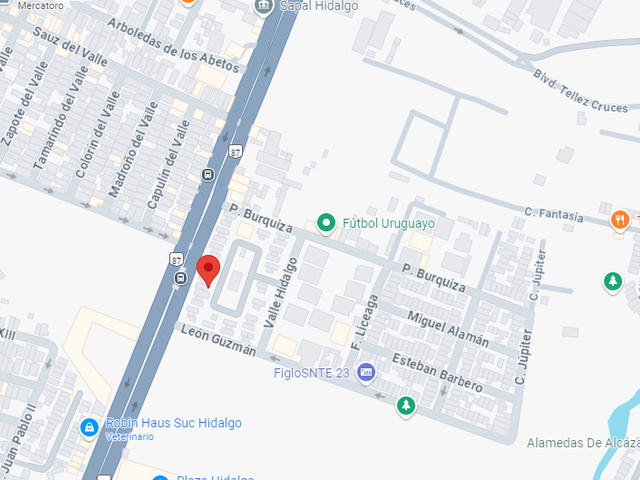 place photo 22