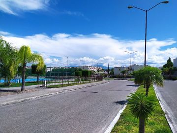 place photo 38