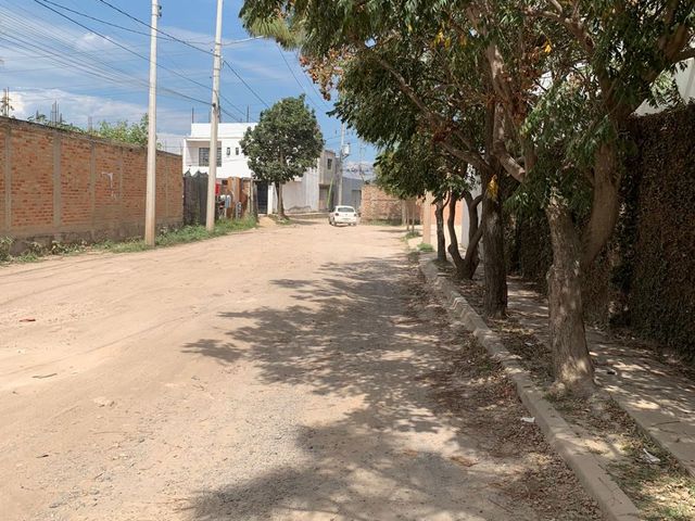 place photo 24