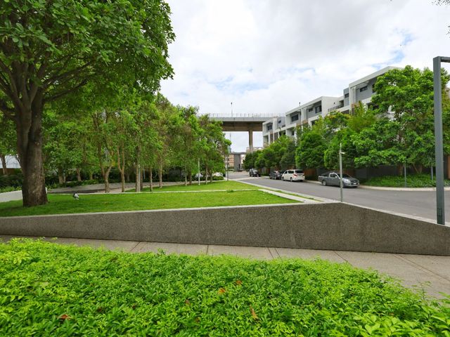 place photo 49