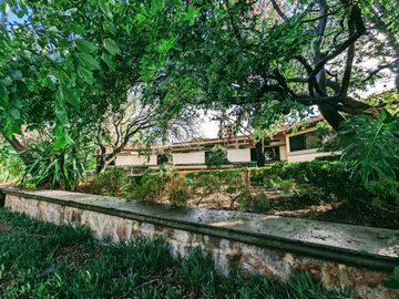 place photo 49
