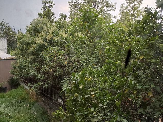 place photo 31