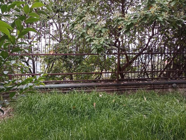 place photo 34
