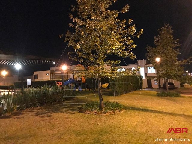 place photo 26
