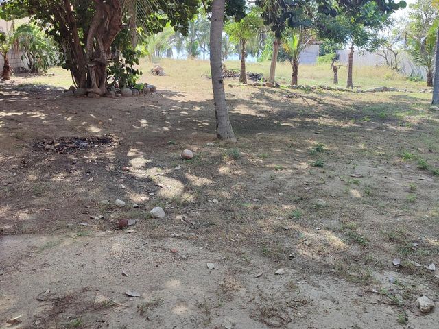 place photo 21