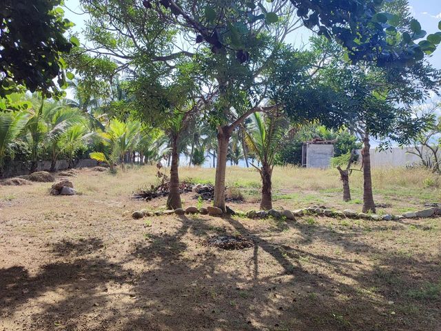 place photo 22