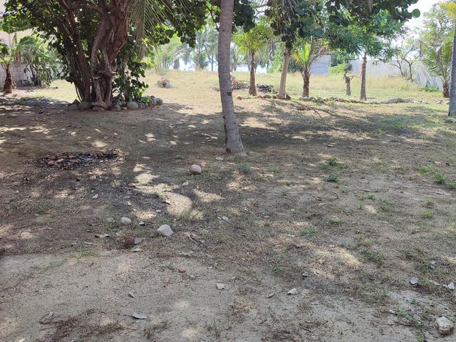 place photo 25