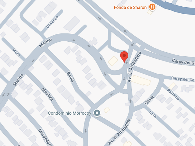 place photo 7