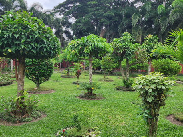 place photo 14